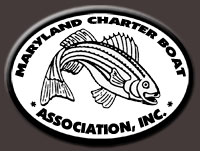 Member, Maryland Charter Boat Association, Inc.